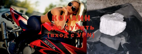 кокс Алексин