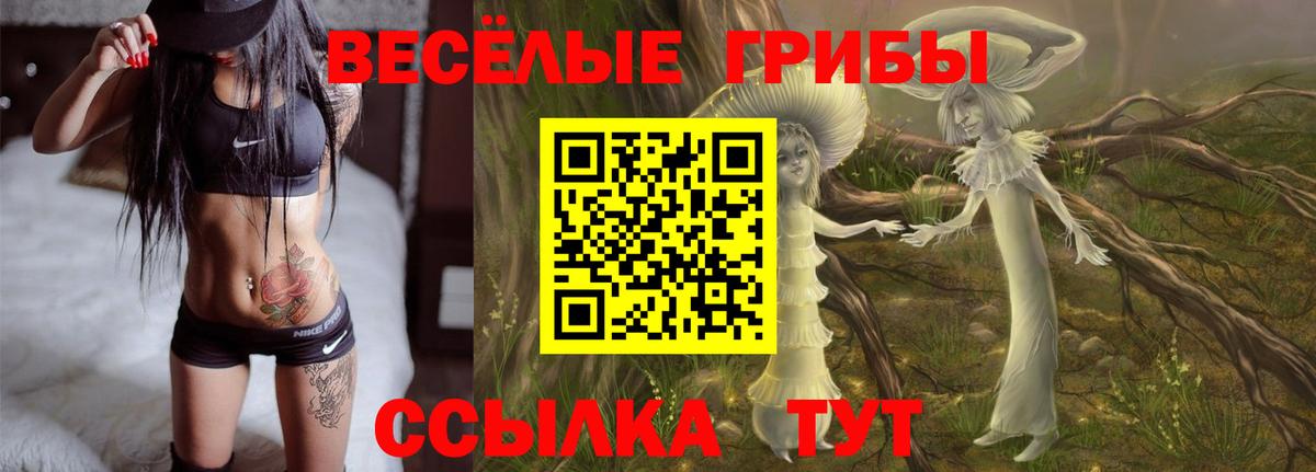 Галлюциногенные грибы MAGIC MUSHROOMS Дедовск