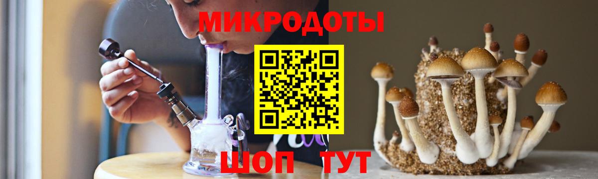 Псилоцибиновые грибы Magic Shrooms  магазин продажи наркотиков  Дедовск  Вход с VPN  Галлюциногенные грибы Psilocybine cubensis 